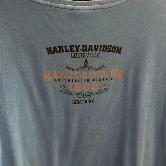 Harley -Davidson womens/plus size shirts
$10 each - Picture 2 of 4
